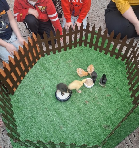 Warsztaty przyrodnicze