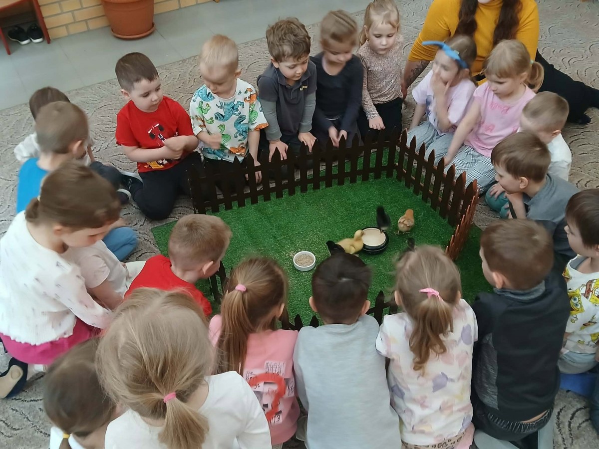 Spotkanie ze zwierzętami z Walabi